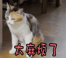 手机号码用了5年以上的杭州人快看！喜讯来了！现在知道还不晚！