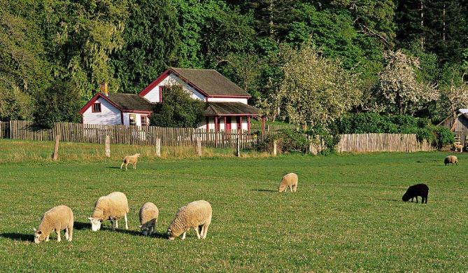 白领辞职回乡办农场，一年营收超500万元