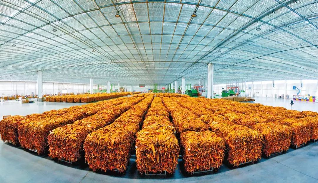 红塔集团的历史资料,改革开放四十年中国经济发展