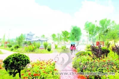 禹城经济发展好的镇,禹城经济