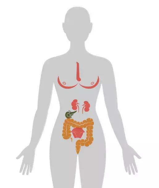 18张癌症人体地图，揭秘致癌真相！