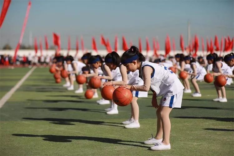 大荔中小学运动会开幕式,大荔县2016年第十四届运动会
