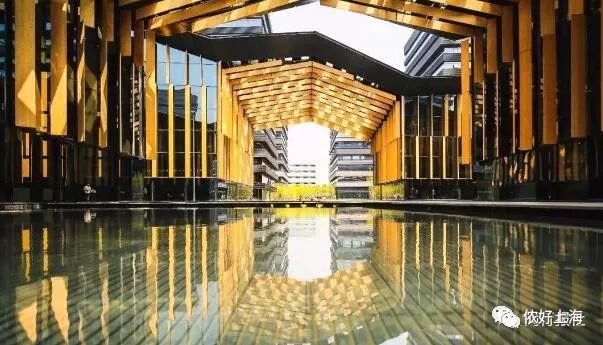 进博会的产品在哪里可以买到,进博会买什么好货