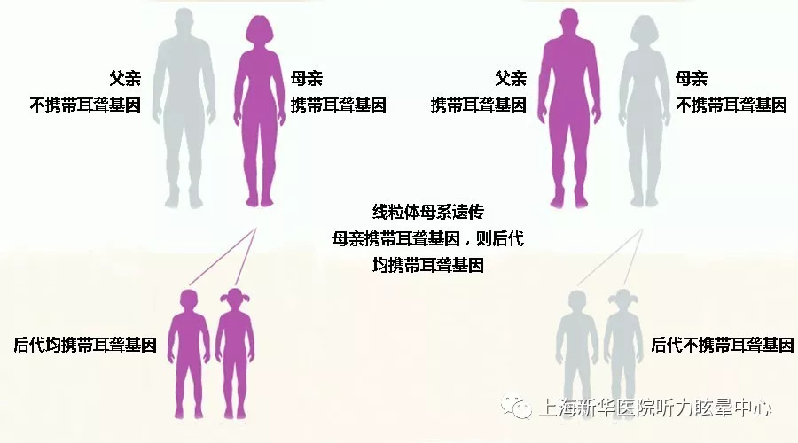 遗传性耳聋怎样可以不遗传下一代,遗传性的耳聋是怎么引起的