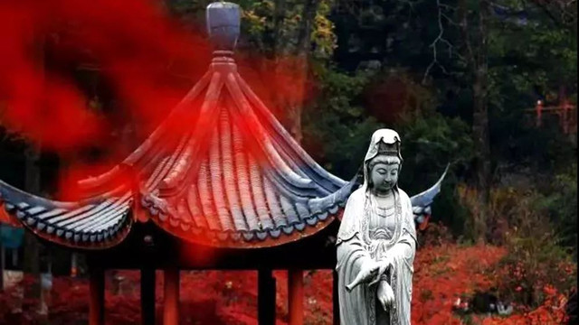 南京最美赏秋地点,南京赏秋之旅