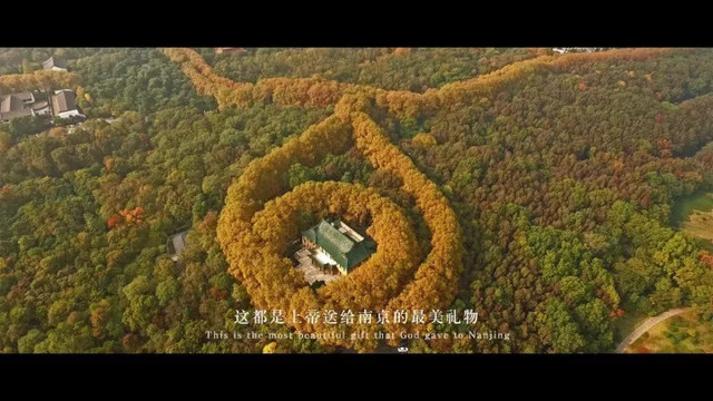 南京最美赏秋地点,南京赏秋之旅