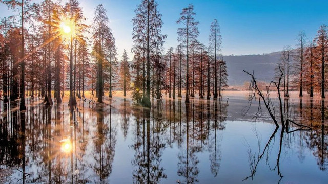 南京最美赏秋地点,南京赏秋之旅