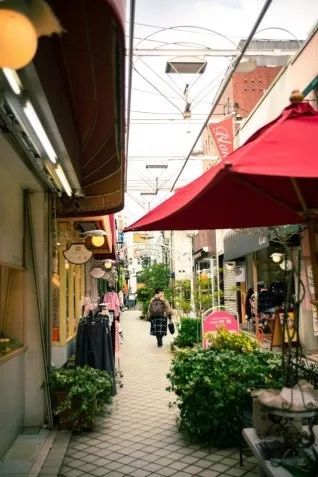 日本人看东京的感受,日本人在中国的感受