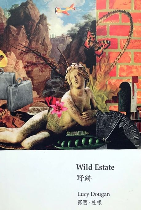 中澳双语诗歌展（四）：LucyDougan樊星