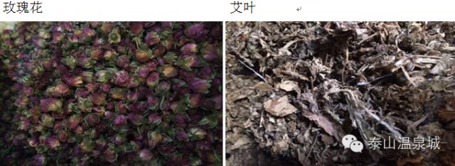 泰山温泉城有什么,泰山温泉城真实事件