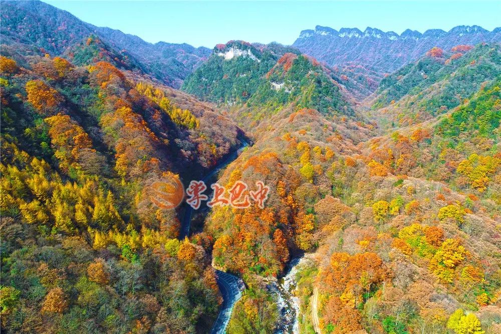 错过了红叶最佳观赏时间,光雾山红叶最佳观赏地方是哪里