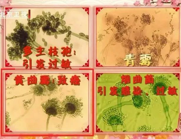 家里有什么地方可能出现危险,家里哪些地方有危险