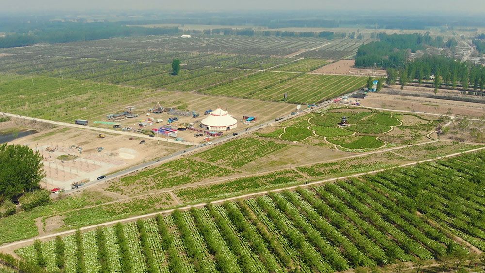 聊城市最美的村,山东聊城著名特色小镇有哪些