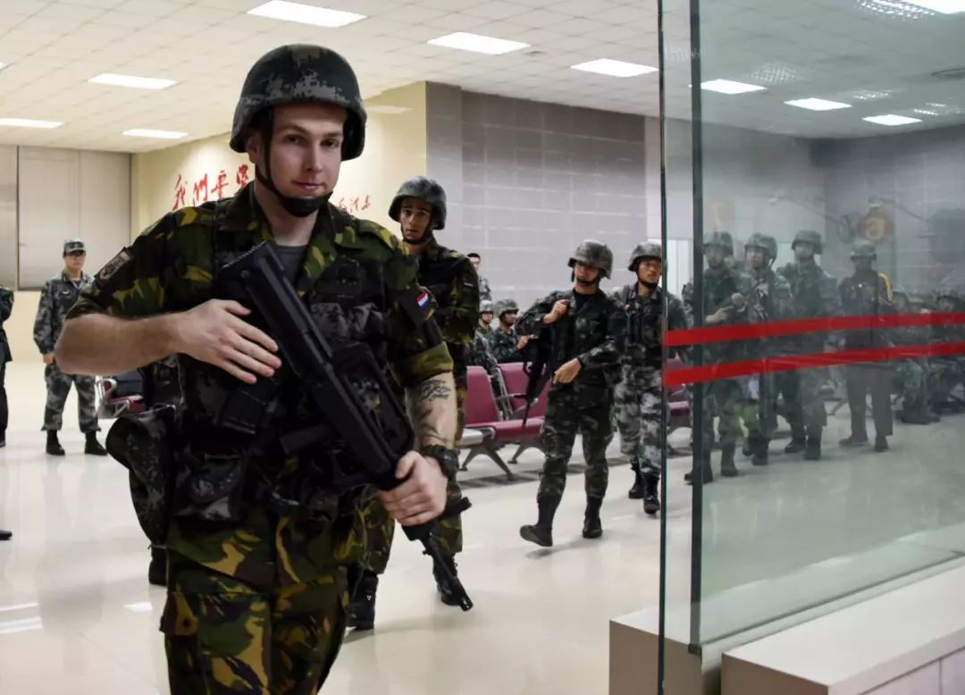 现场直击陆军,直击陆军某旅新年开训