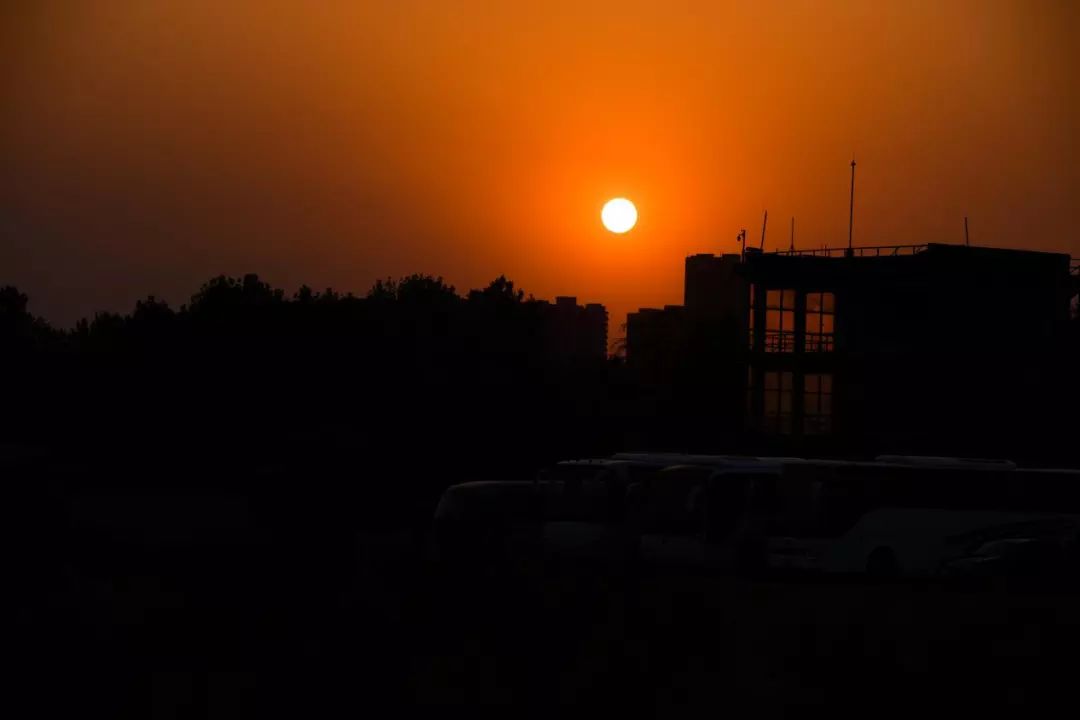 现场直击陆军,直击陆军某旅新年开训