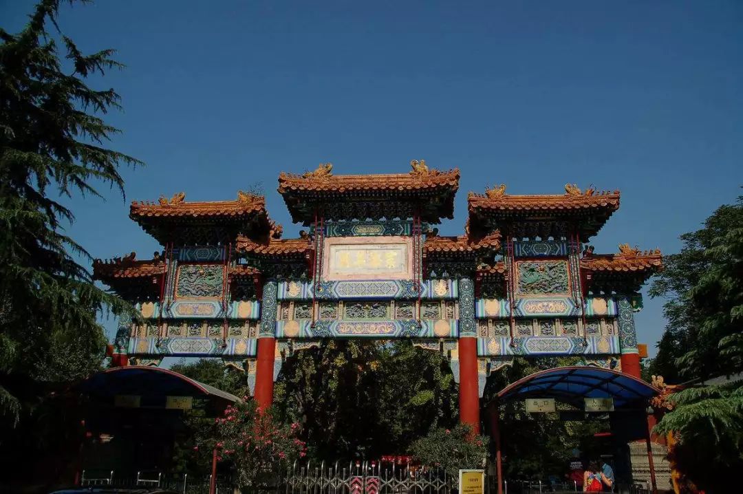 榫卯结构故宫拼装,中国馆榫卯结构解锁