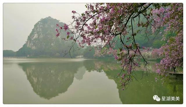 肇庆市是岭南风水宝地,肇庆福满园休闲中心