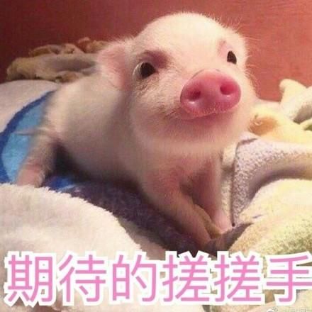 省钱大作战攻略大全,省钱大攻略