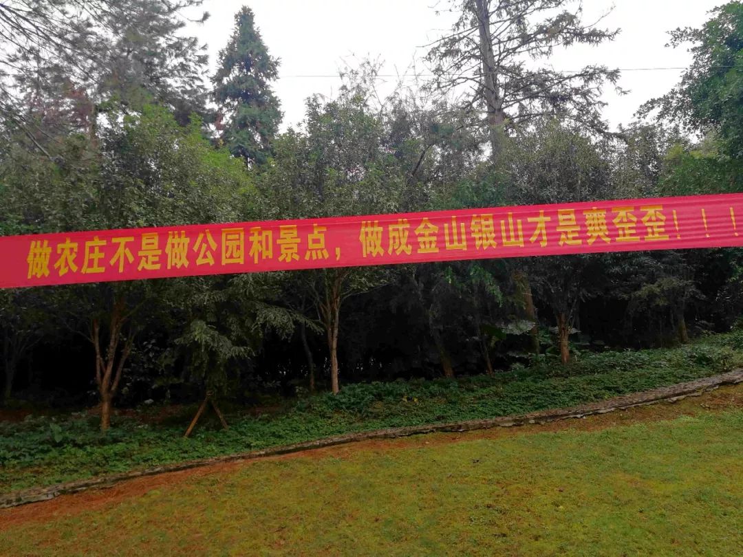 福建永定招宝生态农庄,永定招宝农庄