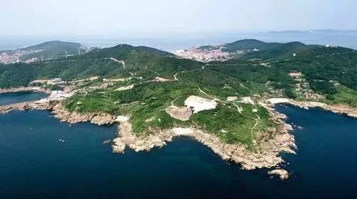 神奇的海参!女人不老、男人不虚,延年益寿,现在知道还不晚……