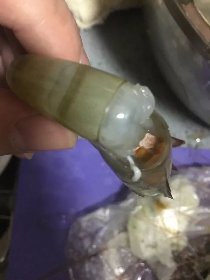 虾背有白线是寄生虫吗,虾头里的白线是寄生虫吗