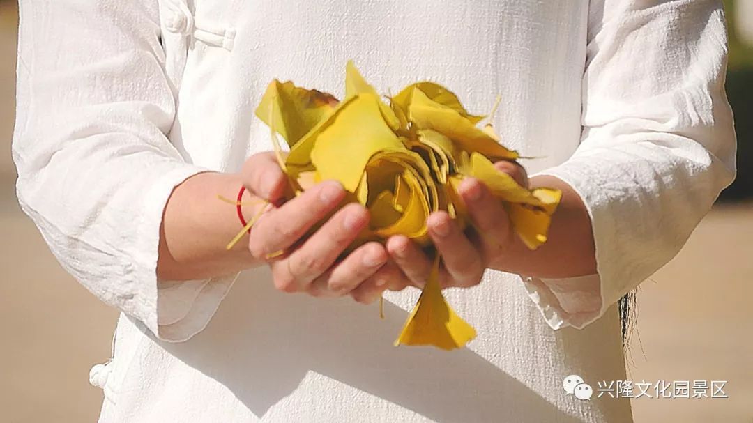 巴山夜雨电影1980,巴山夜雨1980老电影