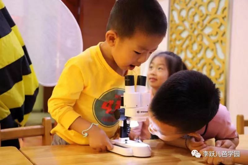 去幼儿园培训让我学到了什么,去幼儿园体验一天老师