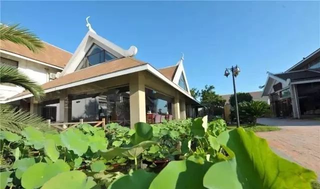 松江区比较好的酒店,上海松江高档温泉酒店