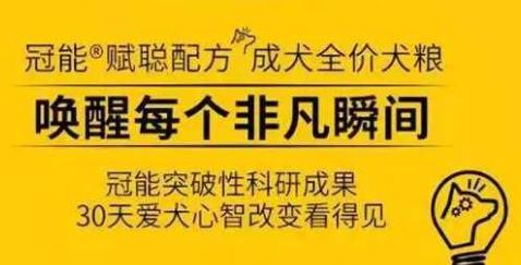 进博会的产品从哪里能看到,进博会产品在哪里购买