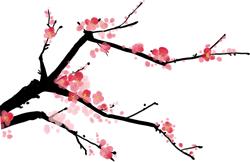 养生,你选对了么?