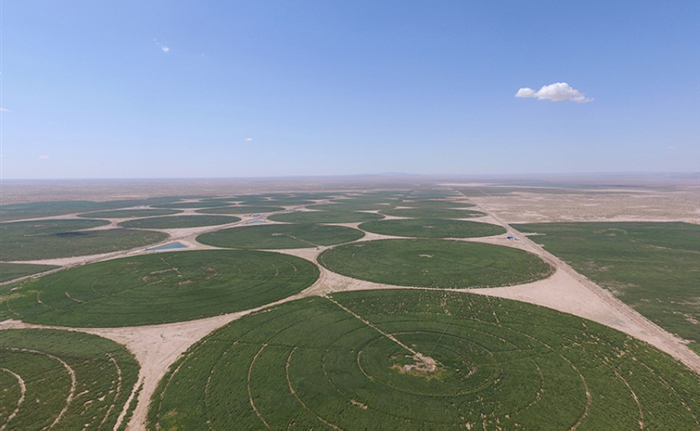 圣牧高科有机奶怎么样,圣牧高科乳品
