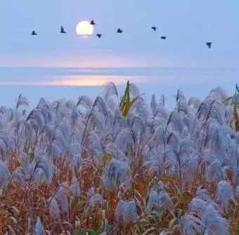 养生堂直播间预防脑梗,养生堂脑梗完整视频