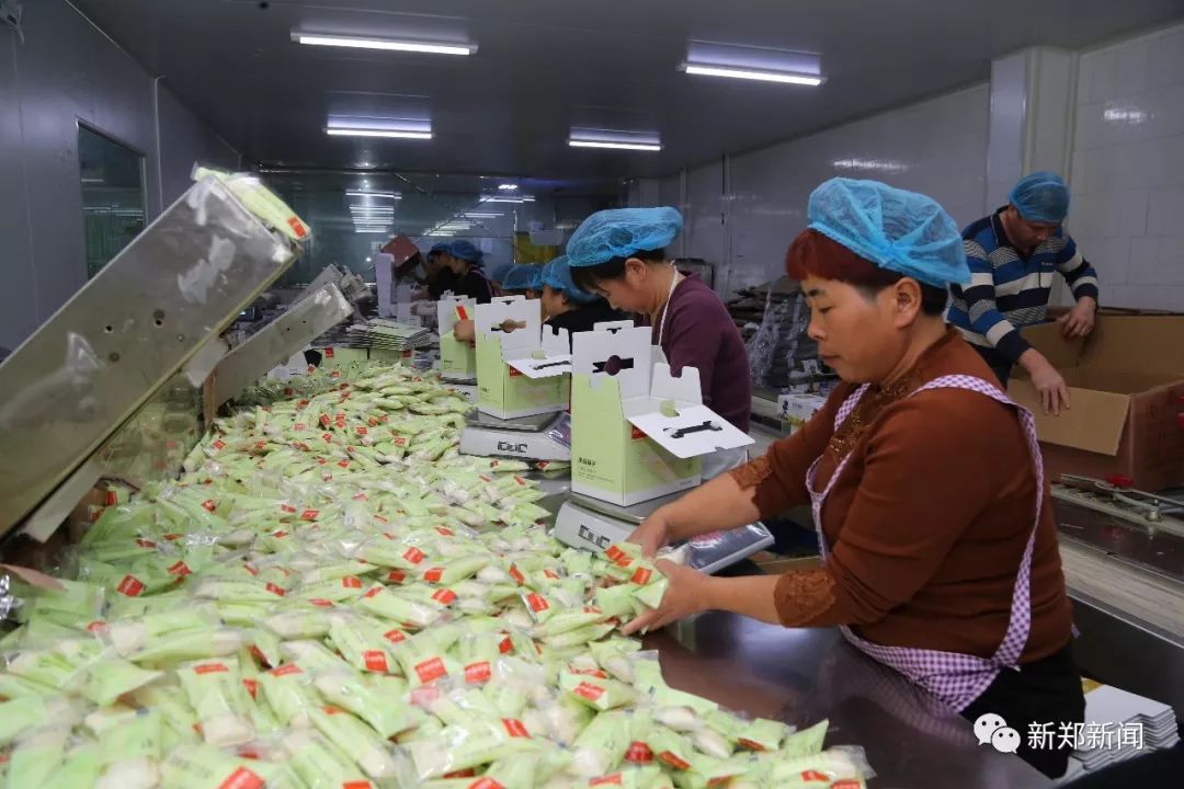 厉害了郑州,厉害了河南品牌