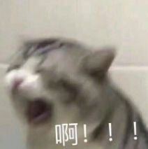 香港活络油有假的吗,警惕这种网红减肥药竟是管控药品