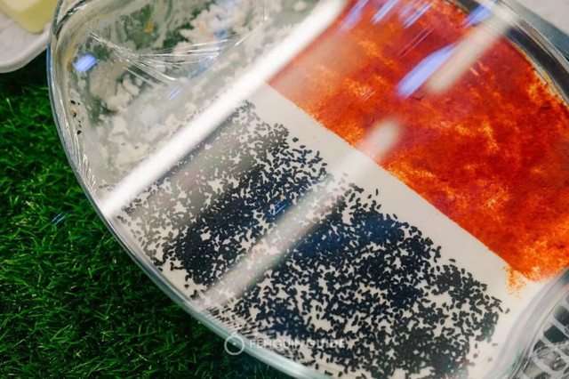 在这个魔幻的江南小城里,来一场烤肉和大饼的狂欢!