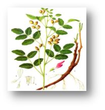 气垫推荐混干皮公认好用第一名,气垫推荐公认好用第一名黑黄皮