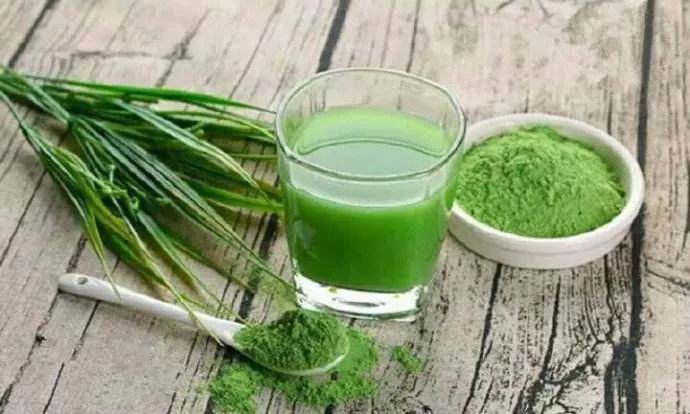 青汁到底能不能减肥,青汁真的有减肥功效吗