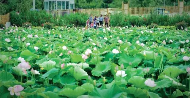 最全的贵州攻略,最新旅游攻略必去景点