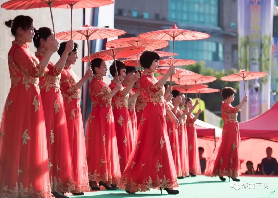 林博会上插花艺术家现场教你插花，还有50多件花艺大师作品亮相！