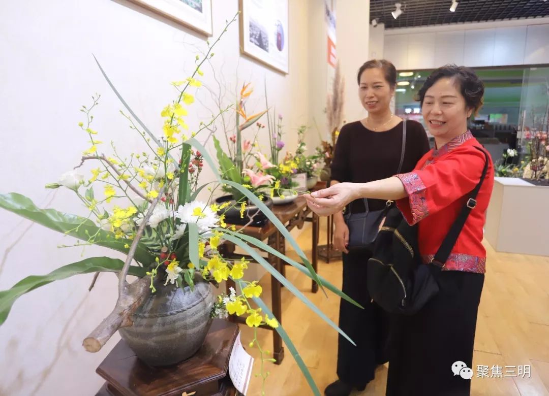 林博会上插花艺术家现场教你插花，还有50多件花艺大师作品亮相！