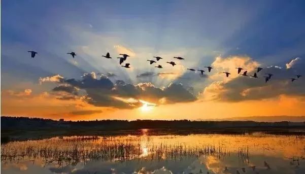 广东人去贵州景区半价,广西人去贵州旅游景区免费吗