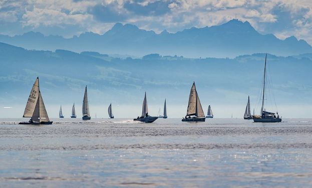 电子商务法对网购的影响,分享电商营销技巧的书