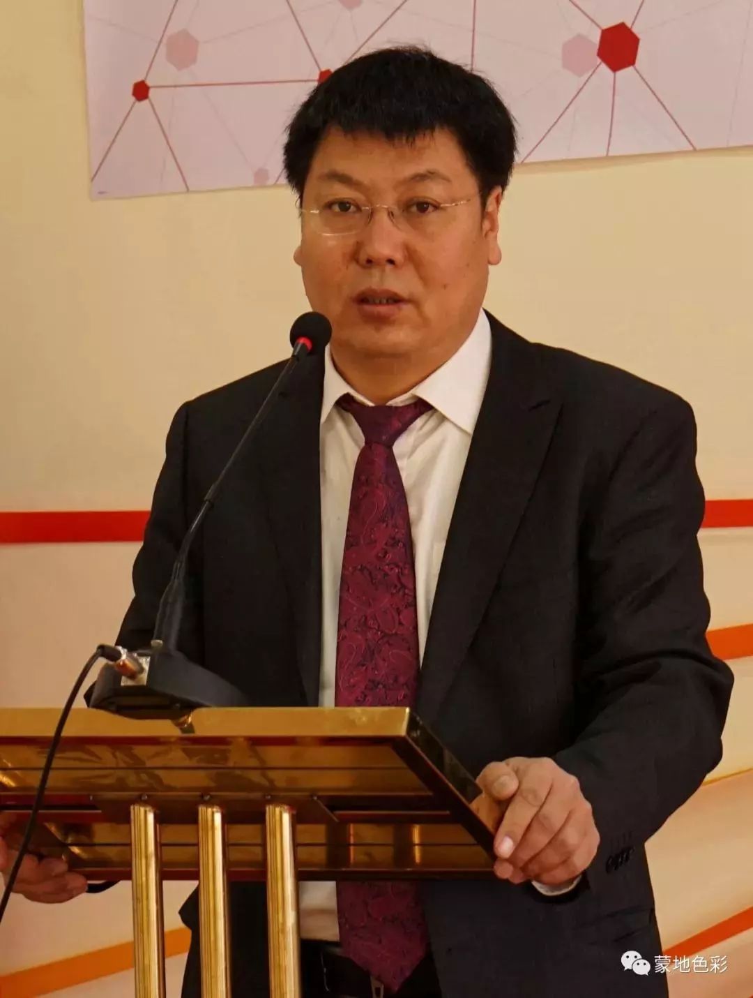 骆驼研究专家吉日木图