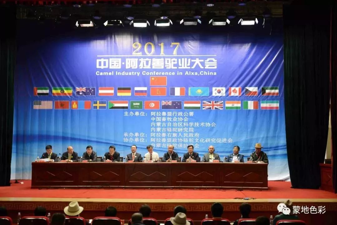 骆驼研究专家吉日木图