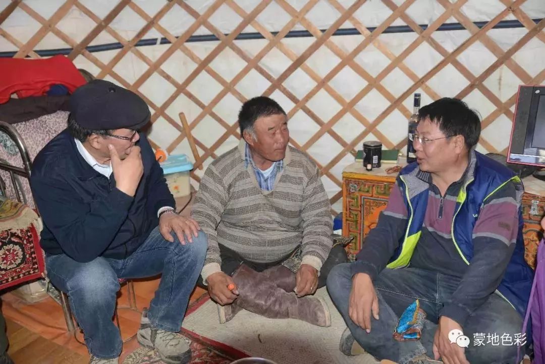 骆驼研究专家吉日木图