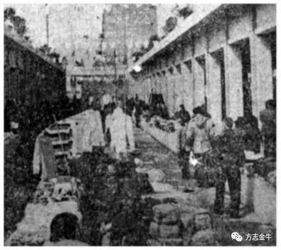 新荷花池,2020年新荷花池