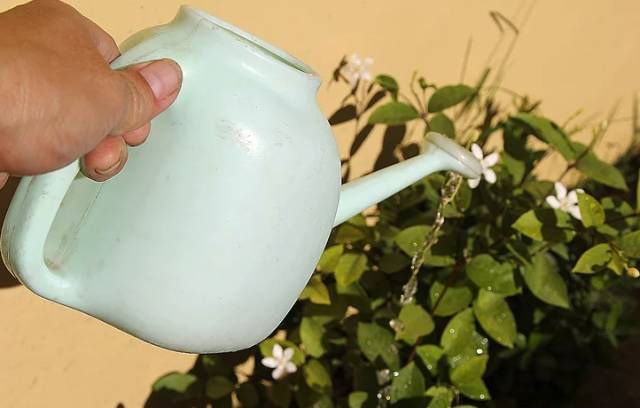 过期的药片丢花盆里花长疯了,这几种过期药片别扔掉放到花盆里