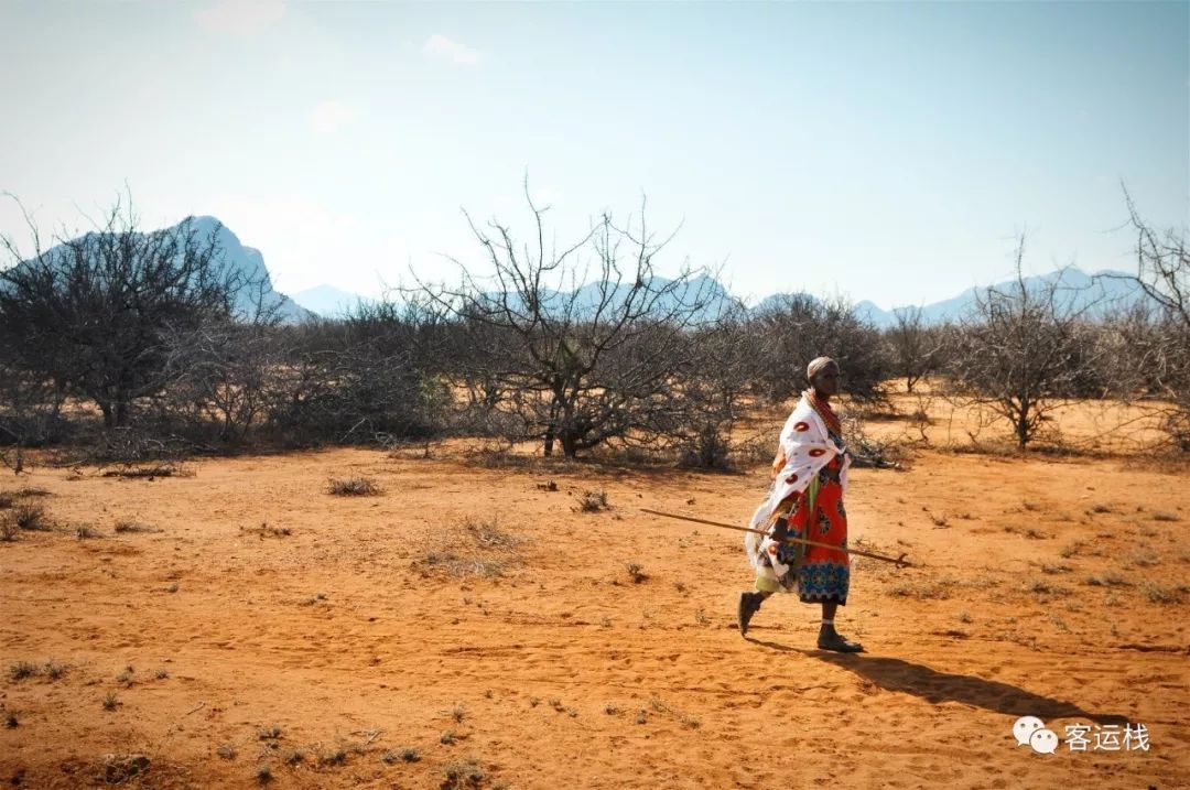 桑布鲁荒野里，我们的主要食物是奶和血｜会玩
