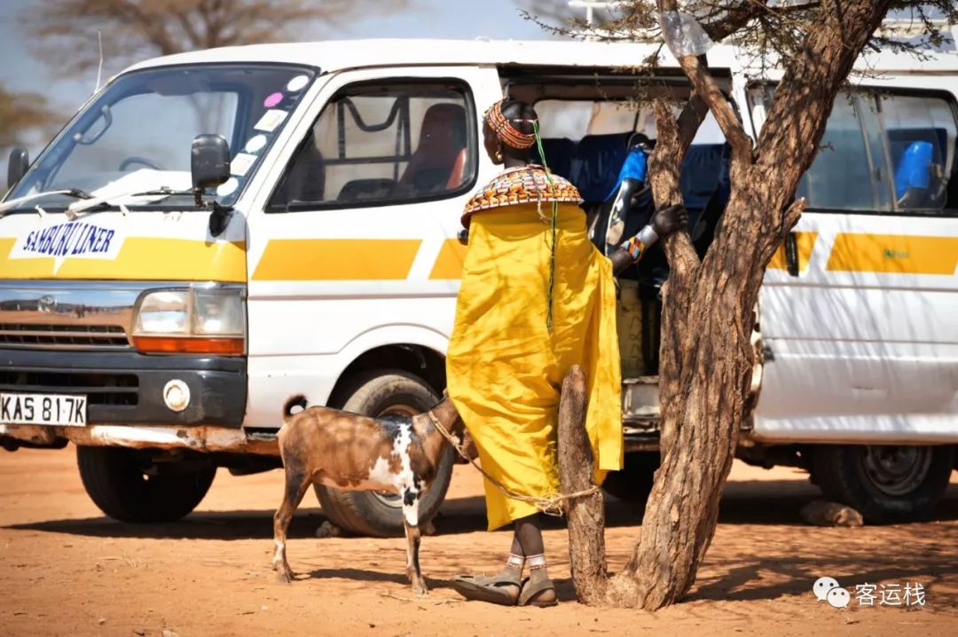 桑布鲁荒野里，我们的主要食物是奶和血｜会玩