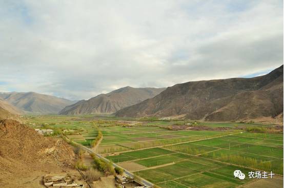 土地流转农民的机遇,农村土地流转困境